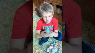 Jackson’s Egg Hunt Routine