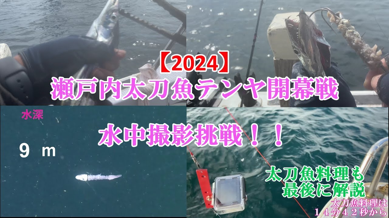 【2024】開幕戦太刀魚テンヤ水中撮影挑戦！　＃太刀魚テンヤ＃太刀魚料理＃船釣り#fishing #釣り＃サーベルフィッシュ
