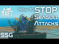 RAFT | How To Stop Seagull Attacks | Tested