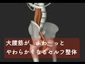 大腰筋（だいようきん）のセルフ整体（ゼロ化整体・セルフミオンパシー）【腰痛のためのセルフ整体】
