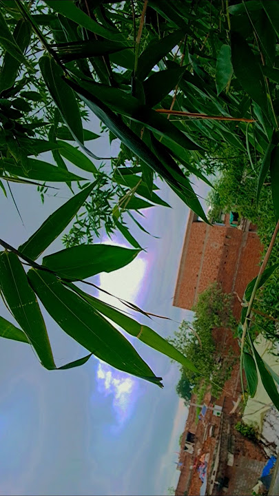 Shivam Bihari 220#shorts