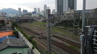 8541호 전기기관차 부산진발 부강화물행 3654 컨테이너 화물열차