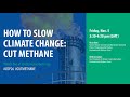 How to slow down climate changecut methane  methane moment at cop26