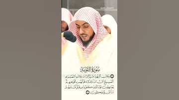 {ذَلِكَ قَوْلُهُم بِأَفْوَاهِهِمْ}الوليد الشمسان سورة التوبة