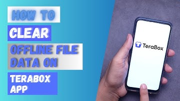 How to Clear Offline File Data On Terabox?