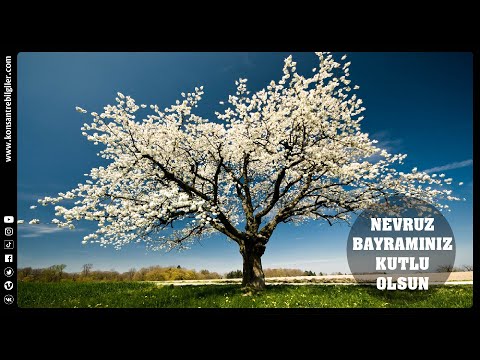 NEVRUZ NEDİR? NEVRUZ BAYRAMI!...