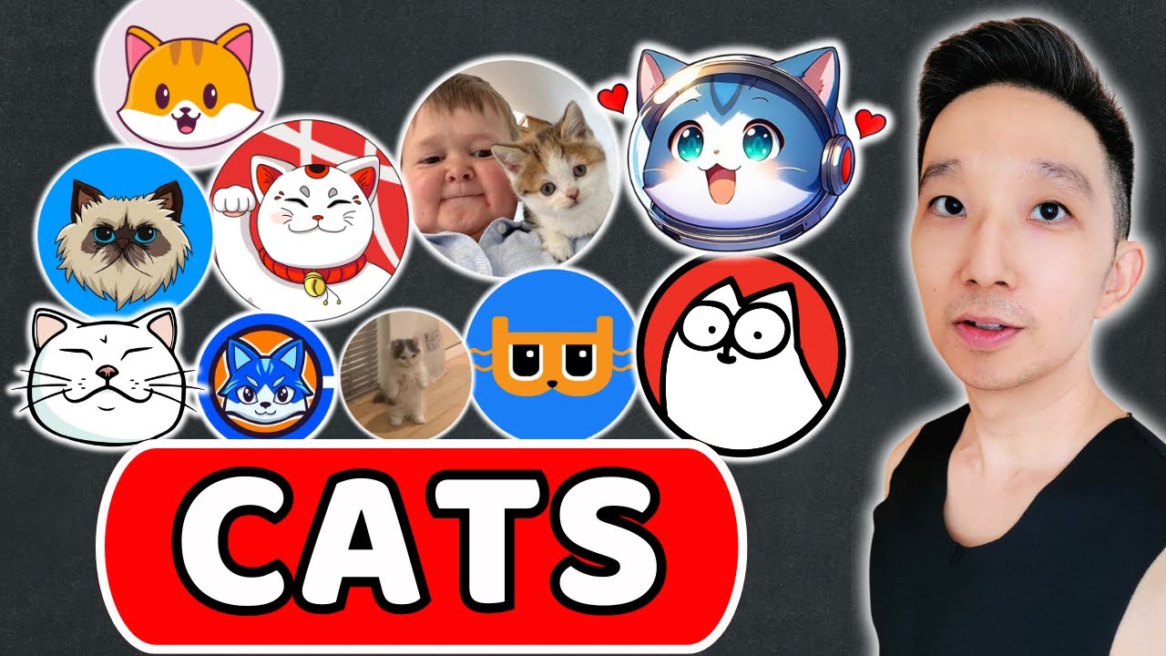 Top 10 Cat Tokens TA (13 Dec 2024)