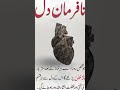 #quran