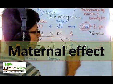Maternal effect csir net life science