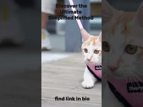 Dooradar Cat Harness. #shorts