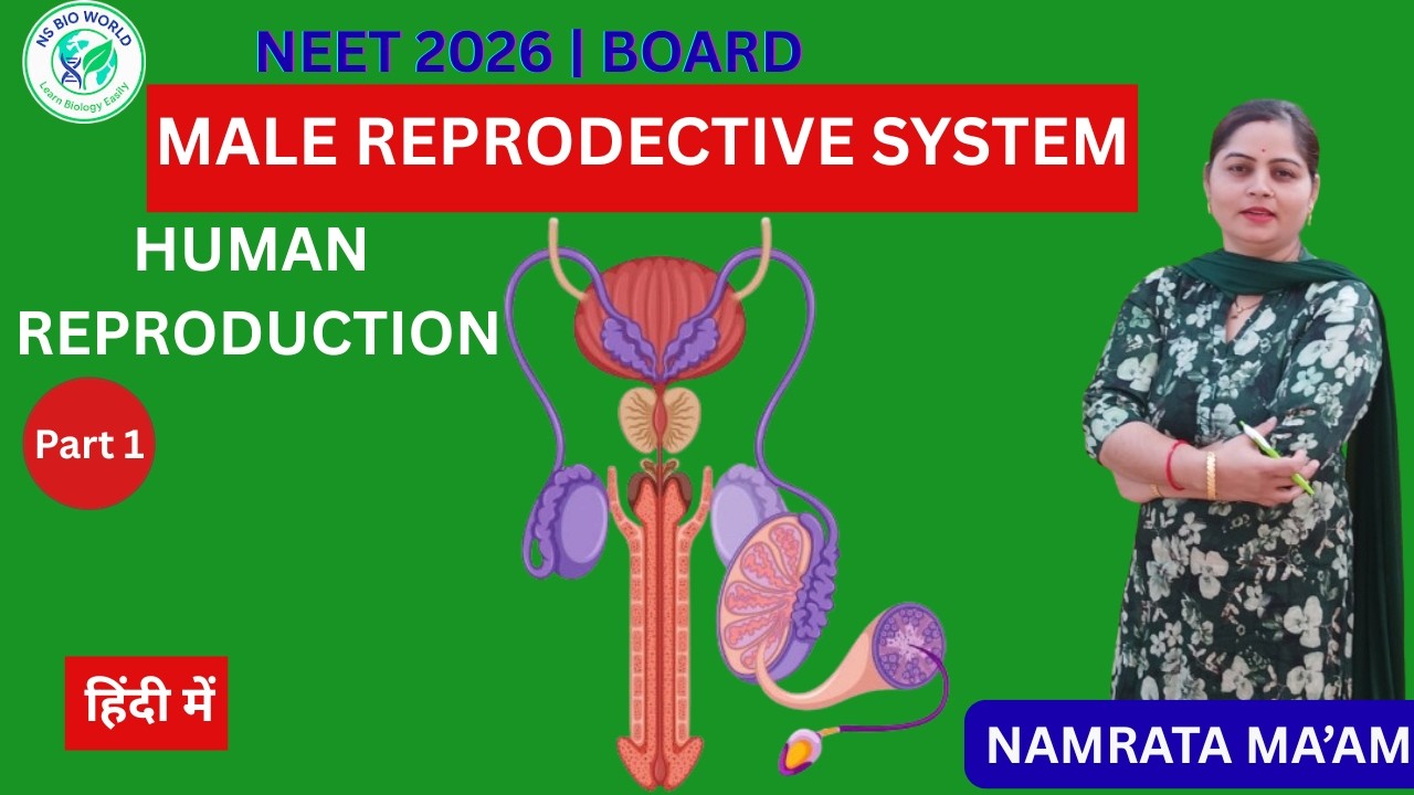 Human Reproduction Part 1 | Introduction & Male Reproductive System | NEET 2026 & Board exams