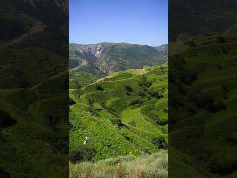 Террасы в Дагестане