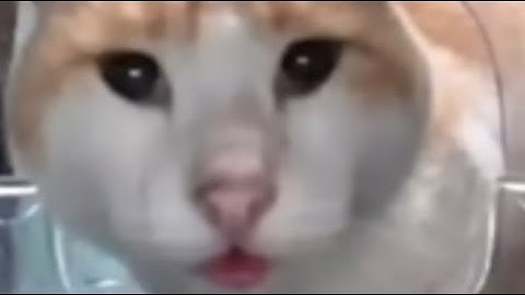 Overwatch 2 ranked in a nutshell