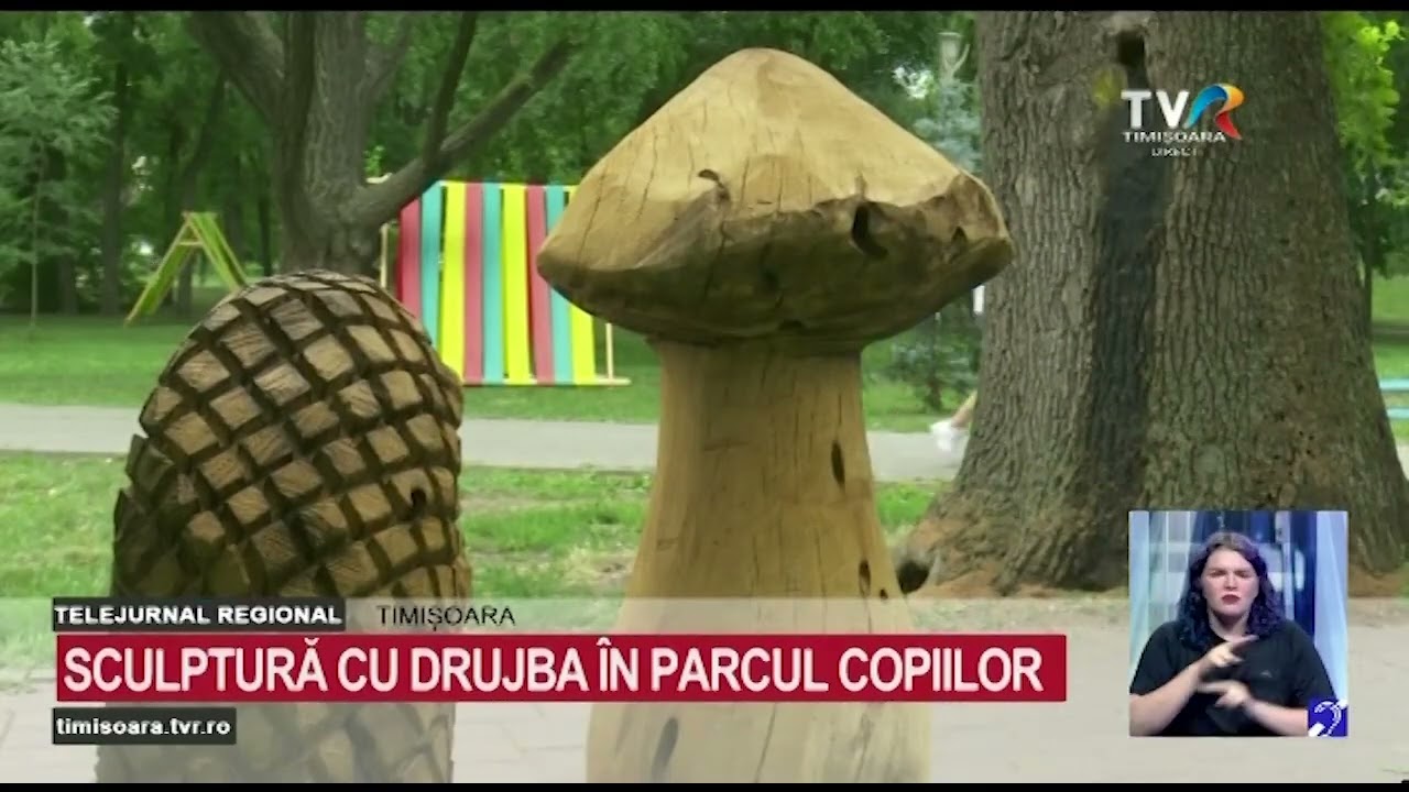Parcul Copiilor Timișoara: Trunchiurile bătrâne de copaci prind o nouă viață #StiriRegionale