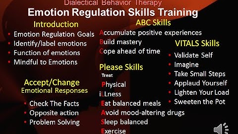 DBT Peer Connections   Ep 4a – Emotion Regulation Skills Introduction