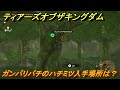 ゼルダの伝説ティアーズオブザキングダム　ガンバリバチのハチミツ入手場所は？　＃３９７　【ティアキン】