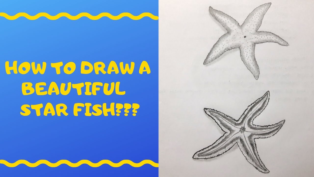 How to draw a Starfish??||Pencil sketch of sea Starfish - YouTube