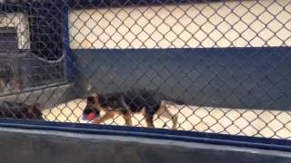 VID 20141203 WA0011