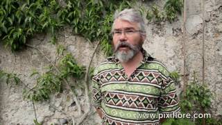 Les Murs À Pêches À Montreuil 35 Hectares De Nature À Protéger