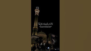 تـلاوة|الشـيخ|مـحمـد أيـوب|#تلاوة_مميزة#تلاوة_هادئة#تلاوة_خاشعة#تلاوة#محمد_ايوب#قرآن#القرآن_الكريم|