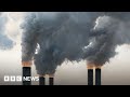 Climate crisis: New carbon capture method revealed by scientists - BBC News