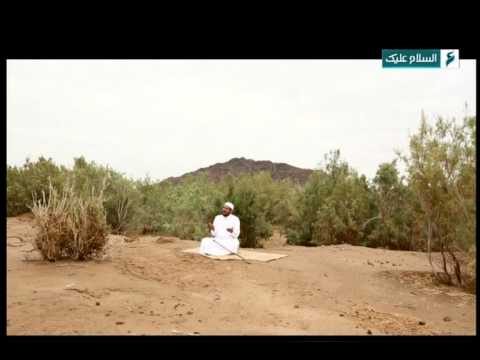 ذاكرة الأماكن الغابة المنبر النبوي