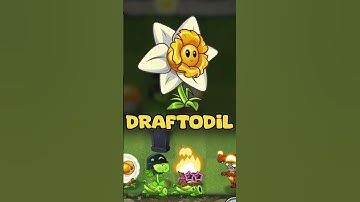 The Best Combo in PvZ2