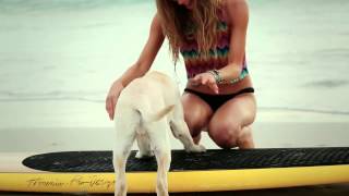 ブラジリアンビキニ　ブラジル水着