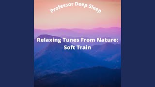 Gentle Soft Train Sounds For Sleep screenshot 1