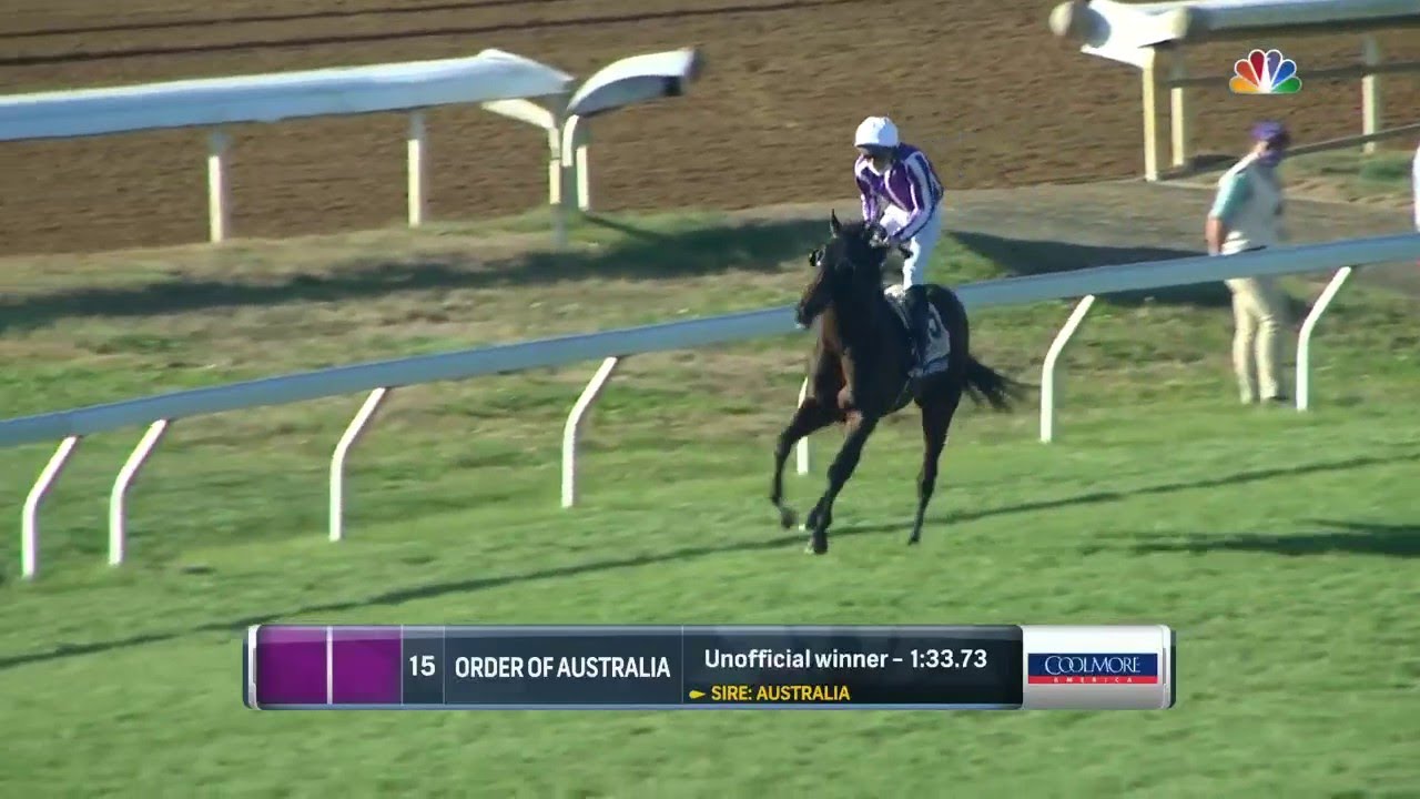 Get To Know The Connections of Swiss Skydiver