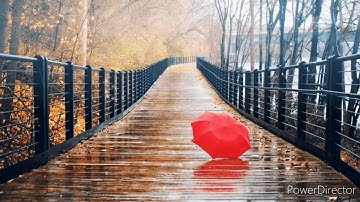 تلاوة هادئة بصوت اسلام صبحي مع صوت المطر... Quran with rain