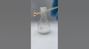 Extinguishing a fire using CO2 #shorts