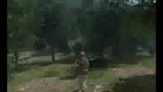 Armed Assault Very High settings