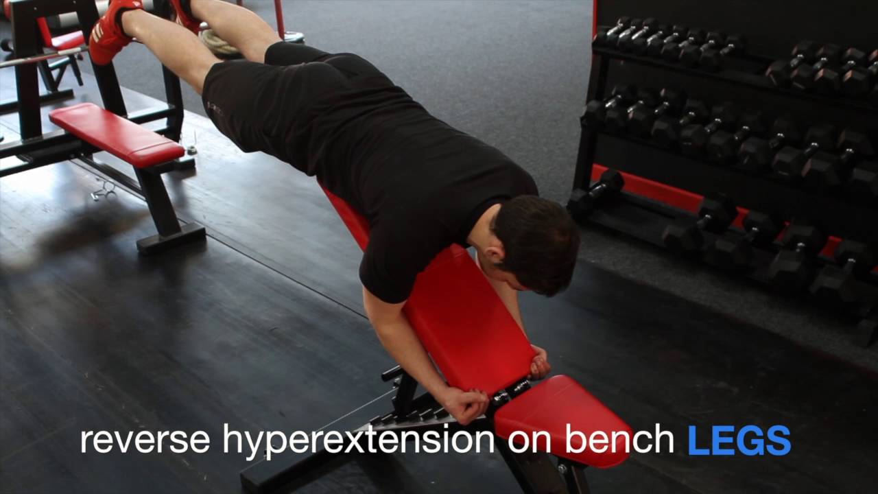 Reverse Hyperextensions Bench Variation Legs (037) YouTube