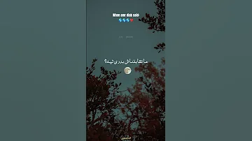 دي الدقيقة معاك بعمري Viral Fyp Amrdiab Trending عمرو دياب 