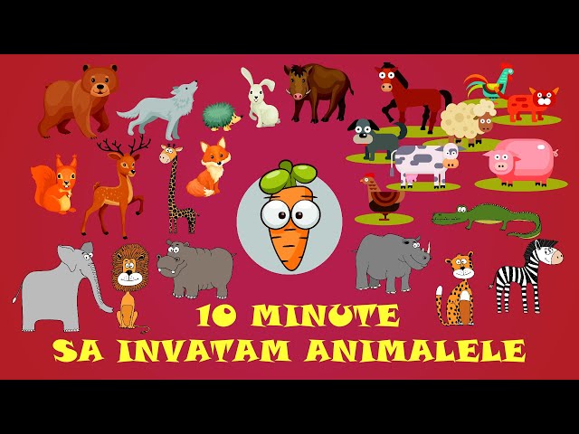 Sa invatam cu Morcovel Animalele (de la Ferma, din Padure, din Savana, Marine) class=