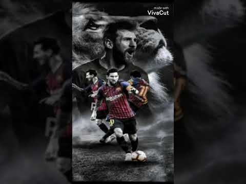 بص شوف قول يا فهمي