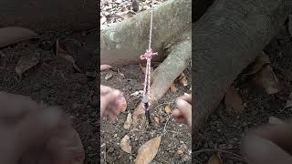 Genius idea for tying tent ropes to make them stronger#knot#rope#a#diy#camping#outdoor#tutorial