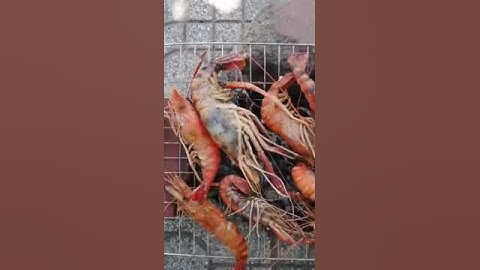 #Shorts Tôm càng xanh nướng muối ớt bằng bếp than