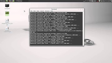 How to install skype to Linux Mint 14