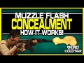 How Muzzle Flash Concealment Works in Cold War! (Is it worth it?)