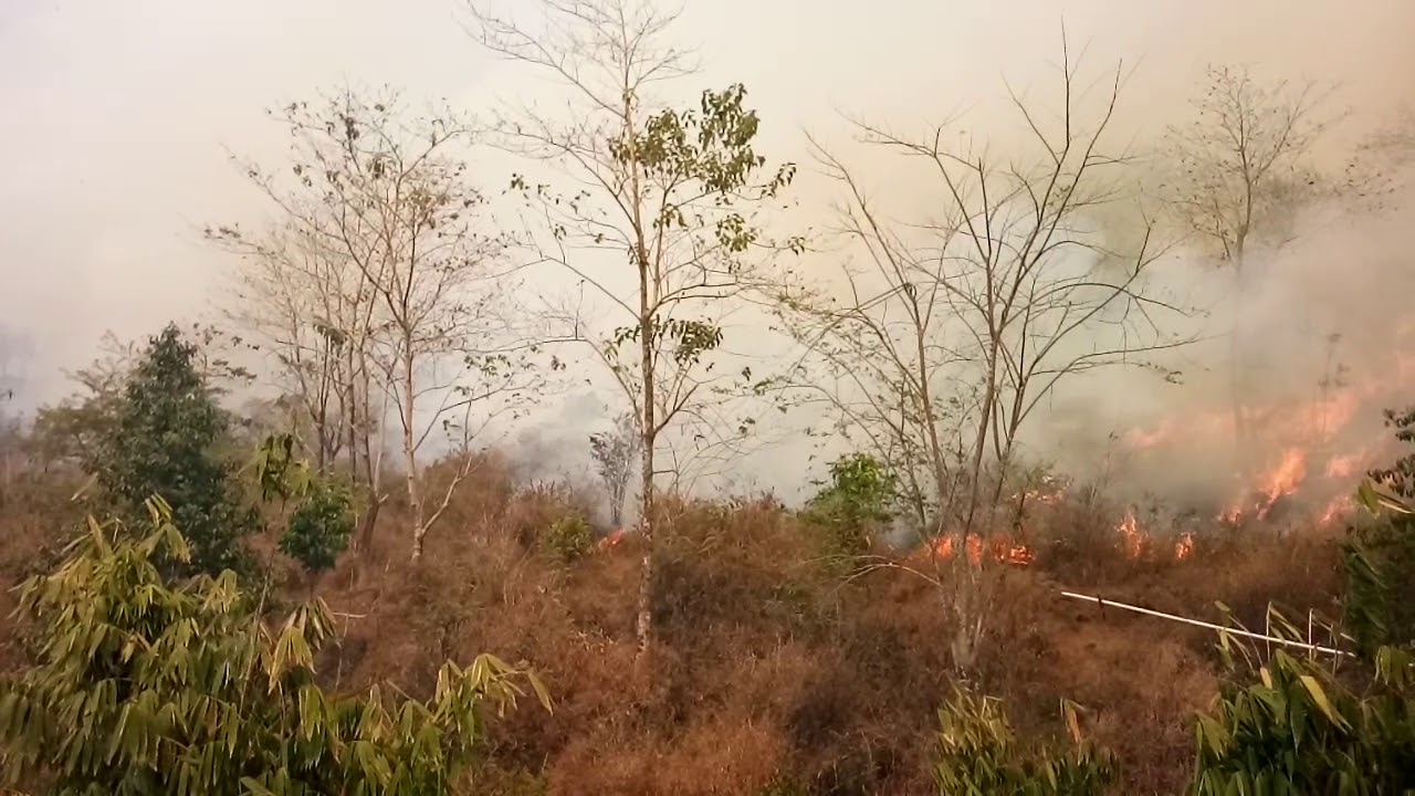 Api Di Kaki Gunung Ciremai - YouTube