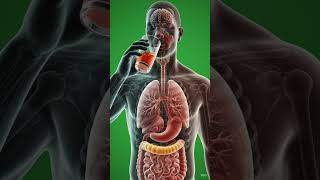 Apple Juice Inside Your Body 🍎 | 3D Medical Animation | Amazing Health Benefits#AppleJuice #Health