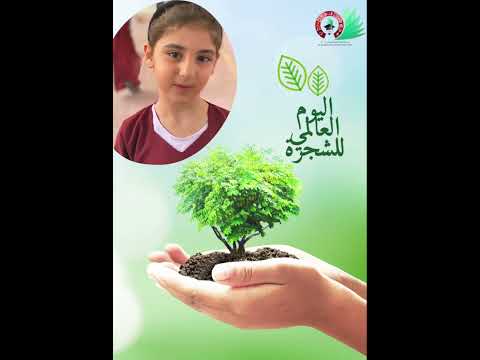 نصيحة بمناسبة يوم الشجرة 