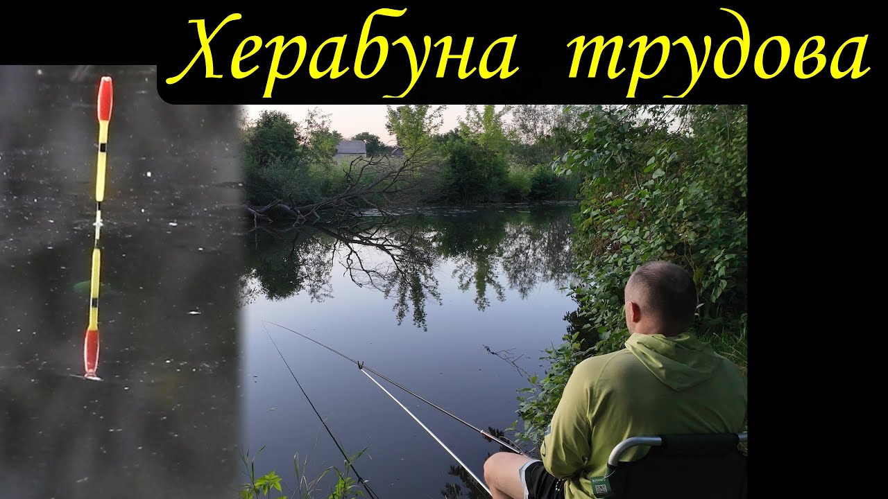 Херабуна трудова - річка Рів - коли риба сильно розбавлена водою #herabuna #streetfishing #floating