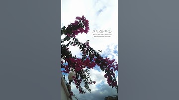 وفي السماء رزقكم وماتوعدون بصوت القارئ فارس عباد #explore #قران_كريم #quran #فارس_عباد