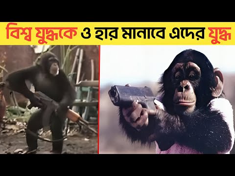 হায় হায়! এটা যুদ্ধ নাকি রণক্ষেত্র 😱 | পুরো বিশ্ব যুদ্ধকেও হার মানাবে | Mayajal