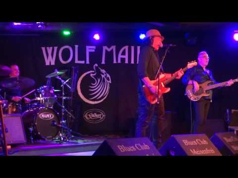 Wolf [email protected] Bremen-Germany 25.10.2016-it`s alright