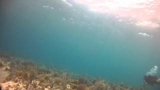 DPV Dive Course video #1