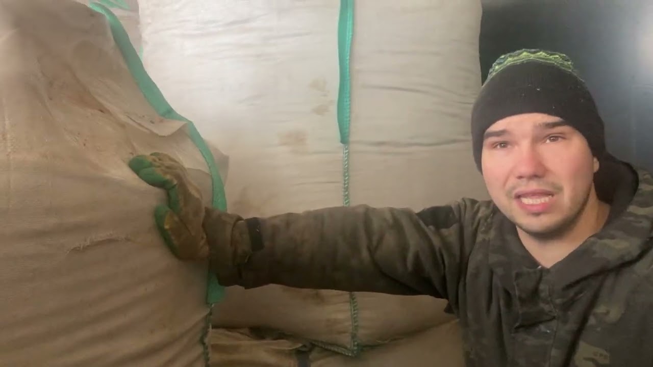 Биг-беги и мыши